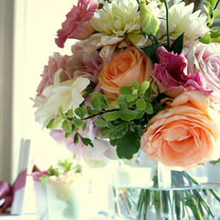 Fiori Recisi e Bouquet